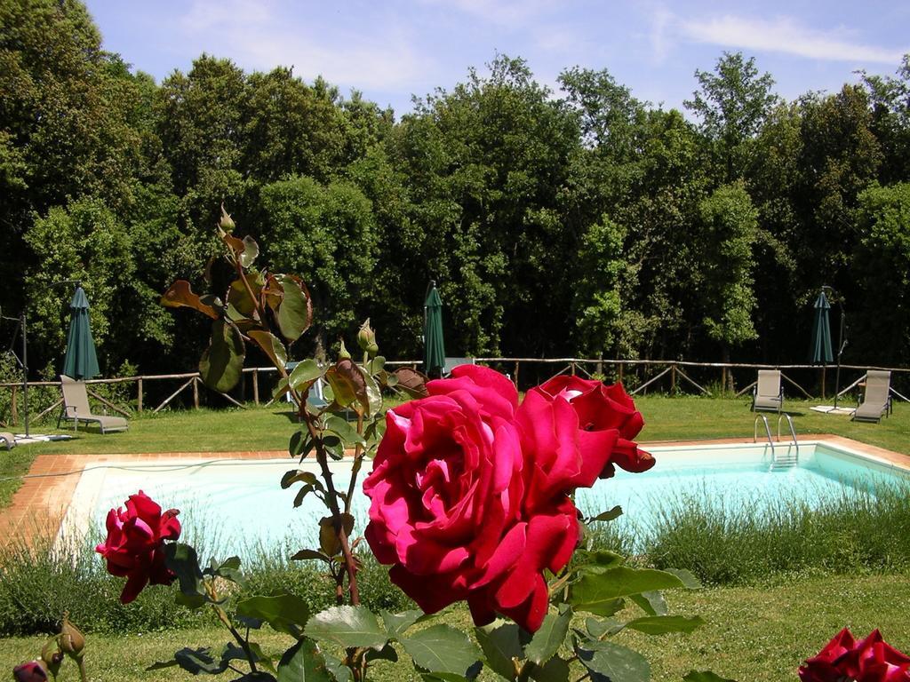 Agriturismo Tre Madonne Monteriggioni Exterior photo